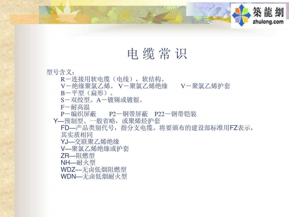 电缆规格大全.ppt.ppt_第2页