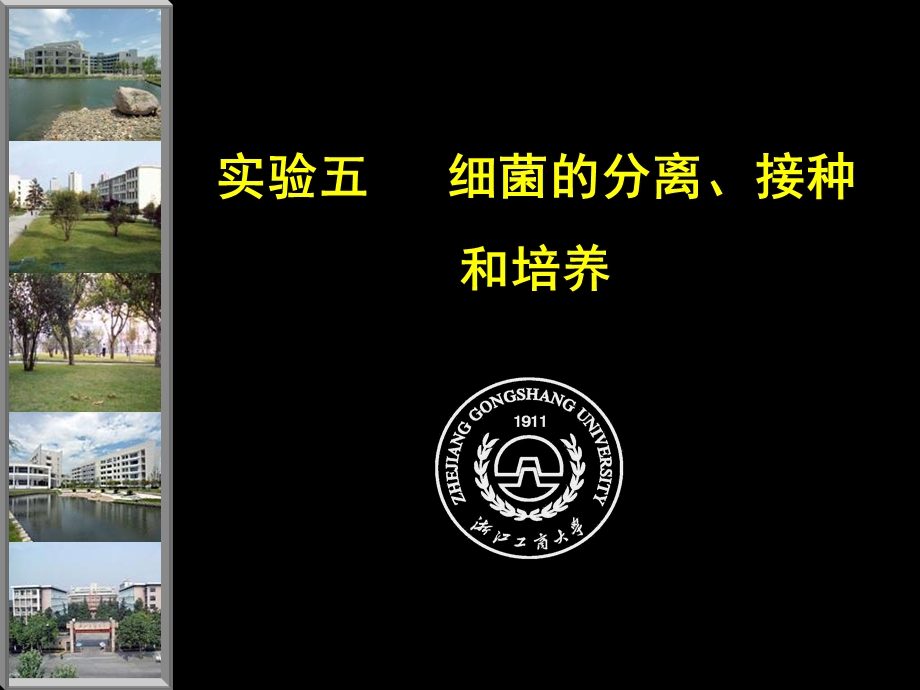 细菌的分离接种和培养.ppt_第1页