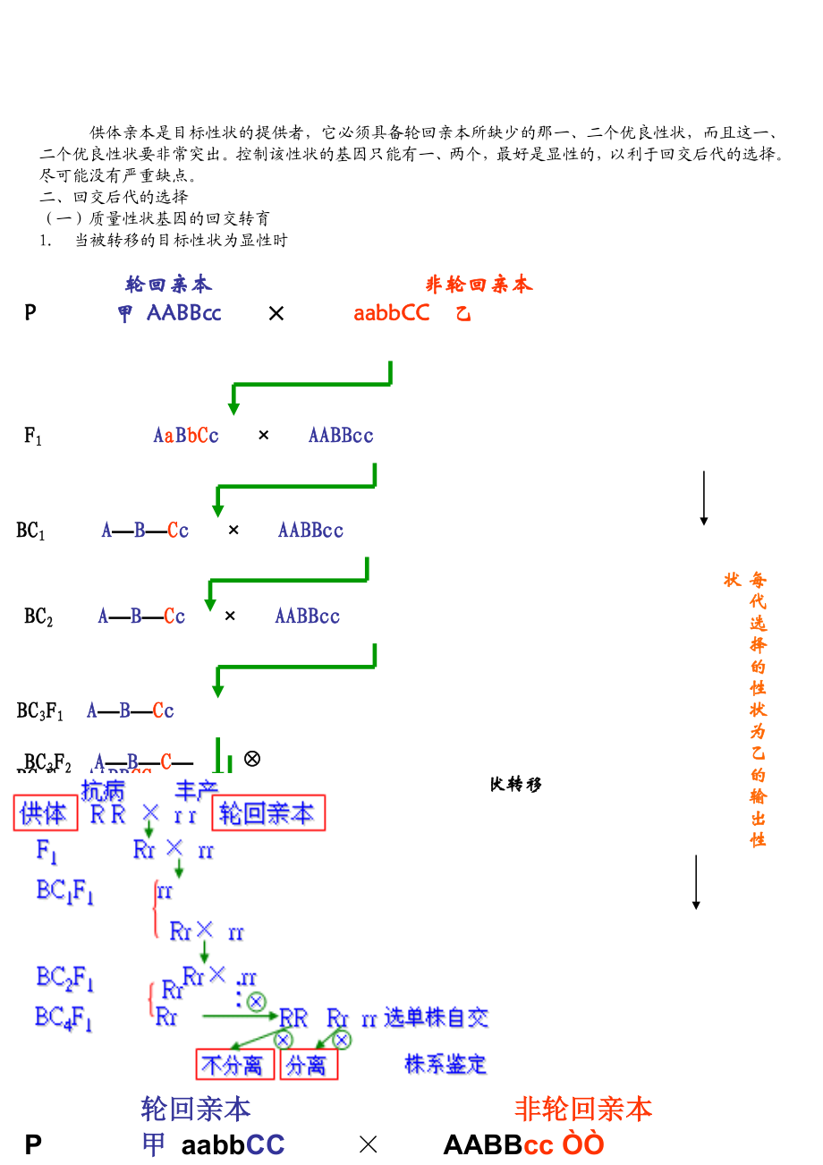 回交育种.doc_第3页