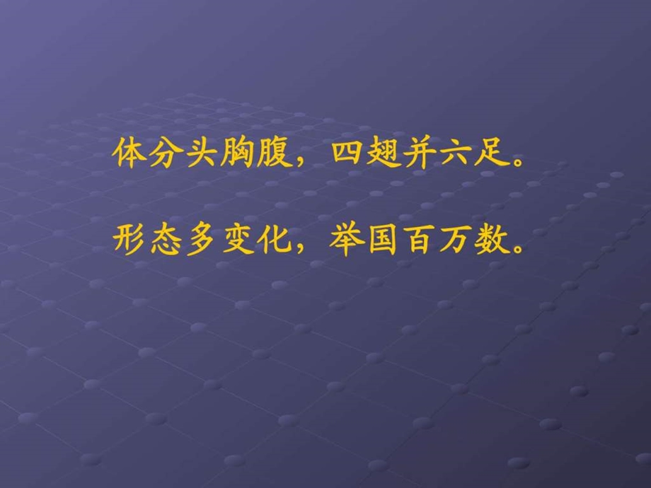 认识昆虫.ppt图文.ppt.ppt_第3页