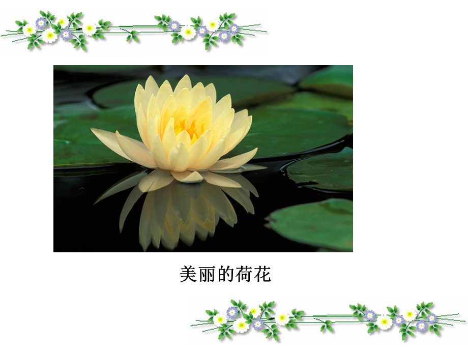 植物妈妈有办法PPT.ppt_第3页