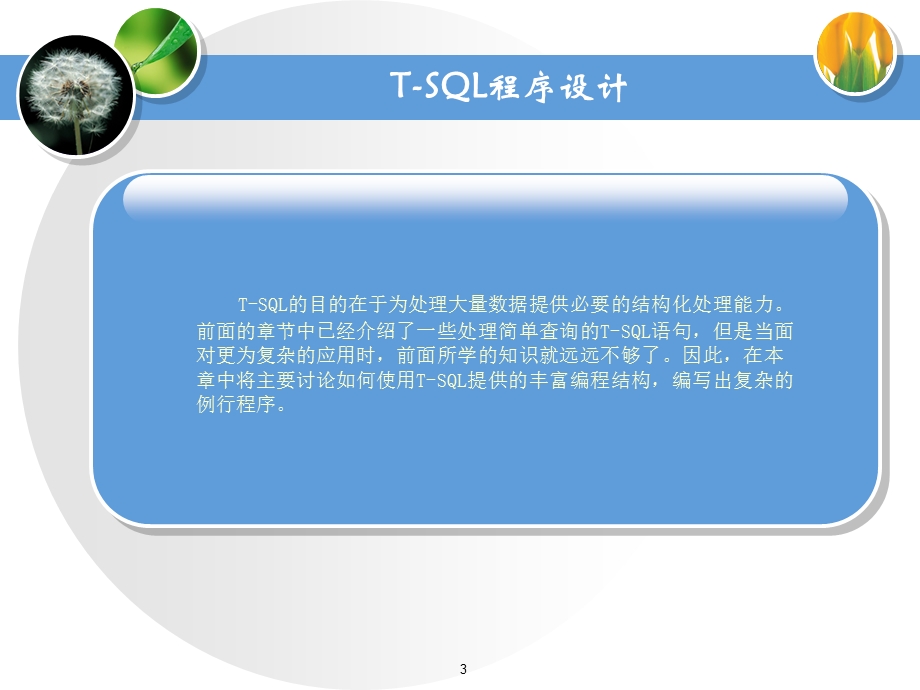 第十章TSQL程序设计.ppt_第3页