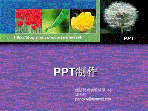 如何用ppt制作课件.ppt