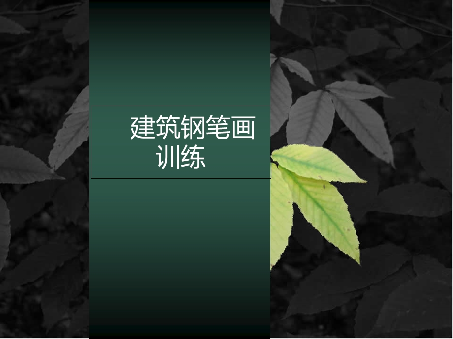 建筑钢笔画训练.ppt_第1页