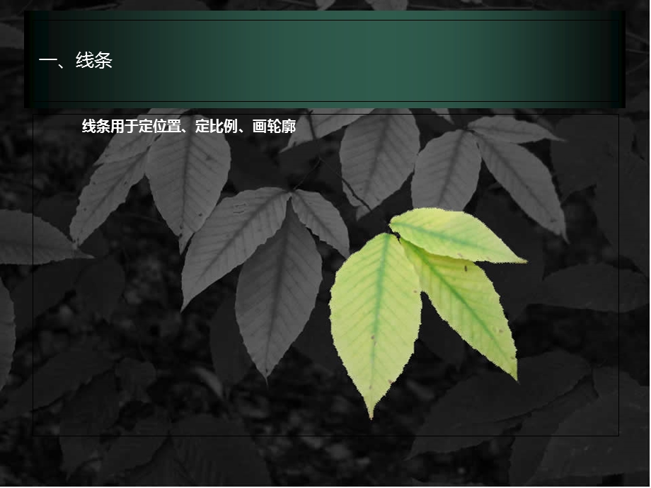 建筑钢笔画训练.ppt_第2页