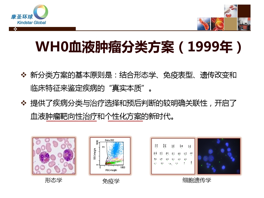 白血病分子诊断技术(咸阳).ppt_第2页