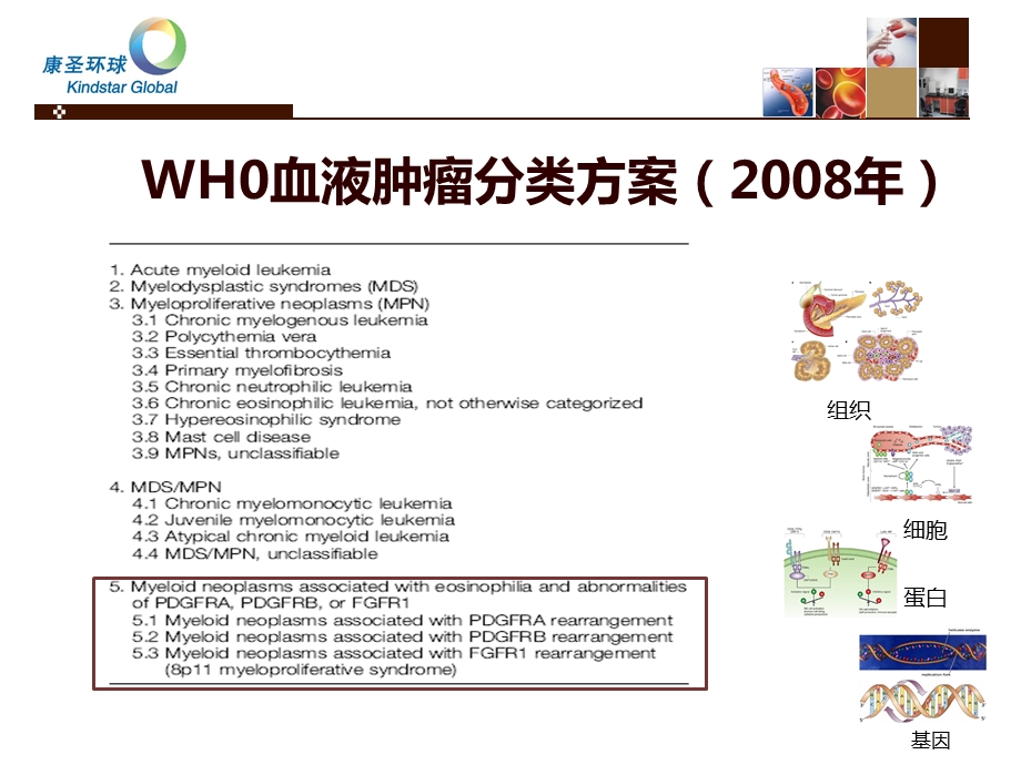 白血病分子诊断技术(咸阳).ppt_第3页