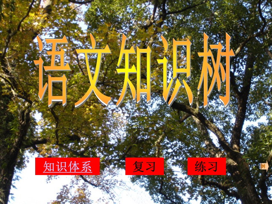 初中语文知识树.ppt_第1页