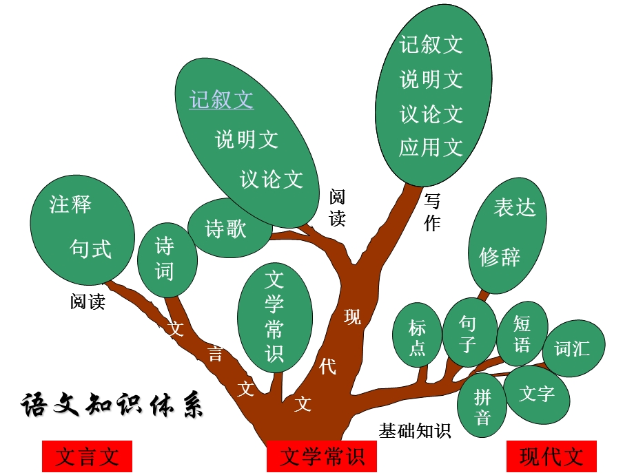 初中语文知识树.ppt_第3页