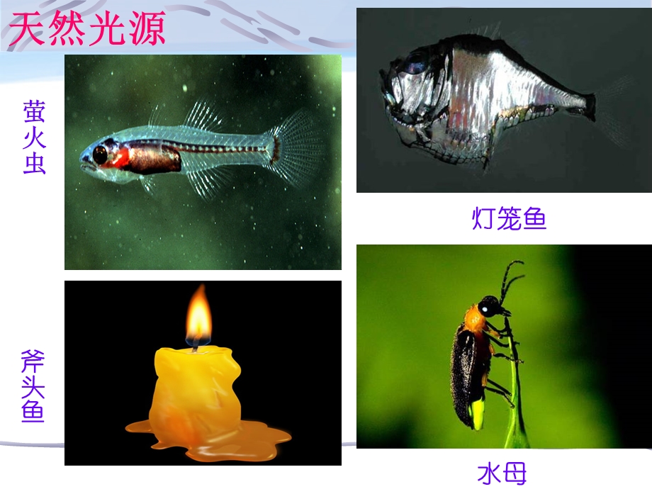 光的直线传播-含flash动画.ppt_第3页