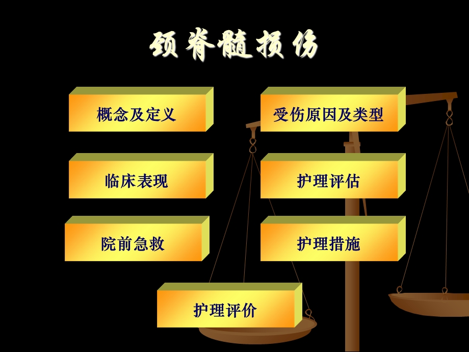 急性颈脊髓损伤院前急救护理.ppt_第2页