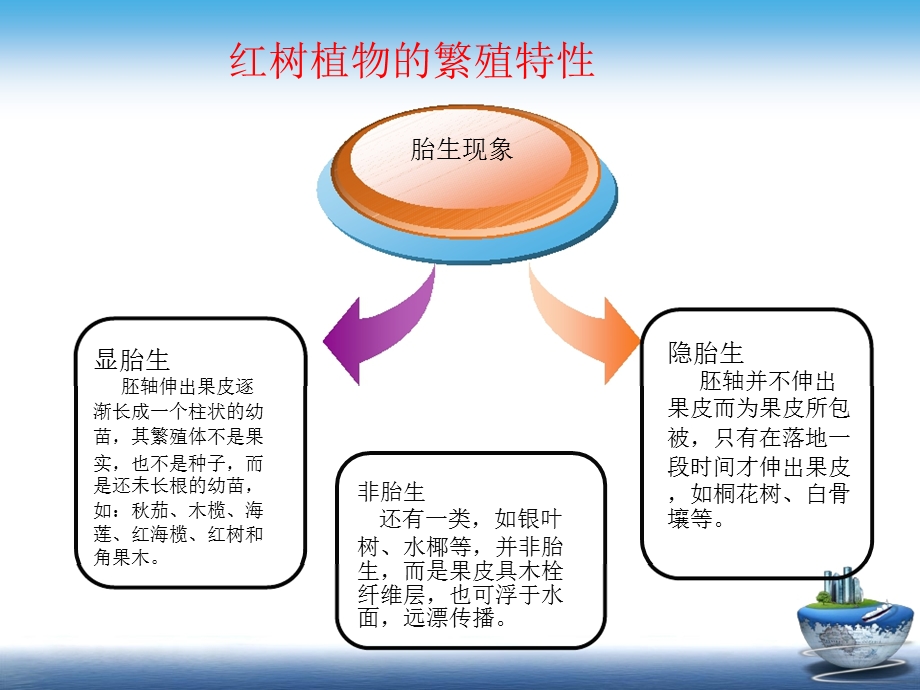 典型的海岸带生态系统.ppt_第3页