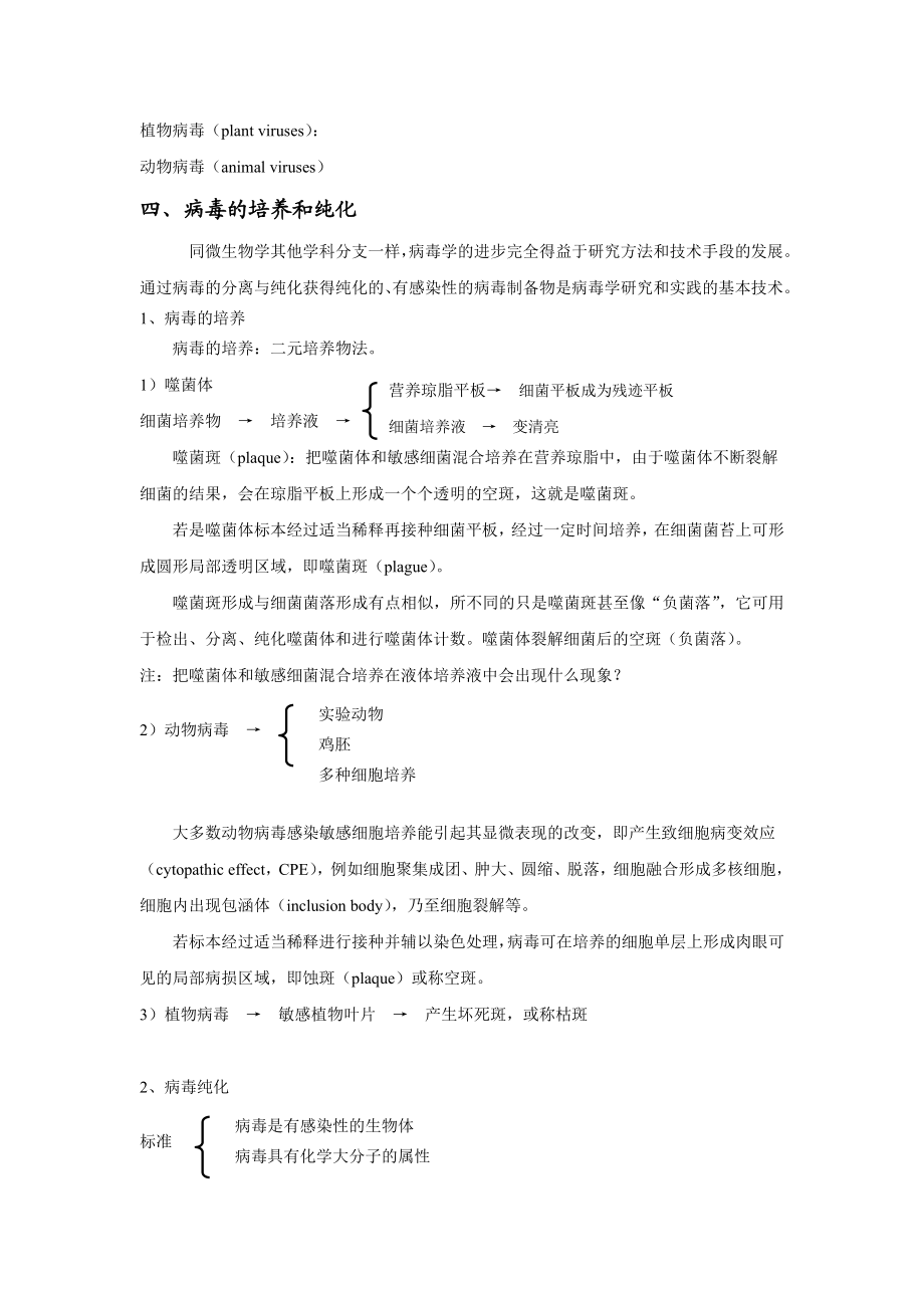 第7章病毒教案051004.doc_第3页