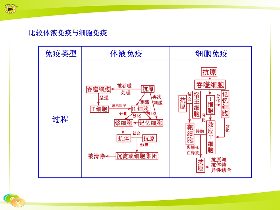 比较体液免疫与细胞免疫.ppt_第1页