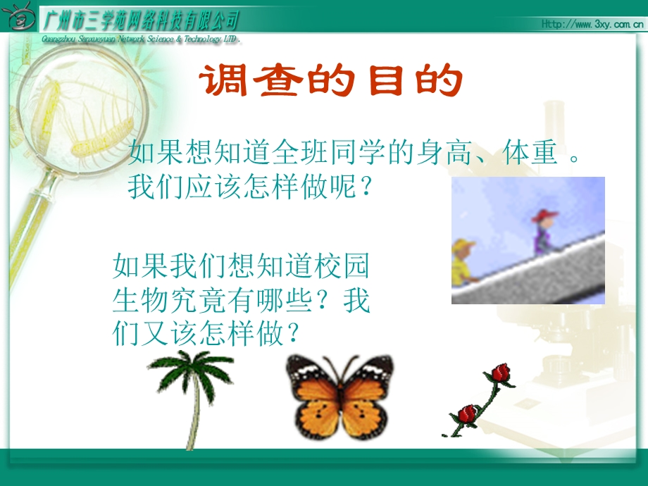 调查身边的生物.ppt_第3页