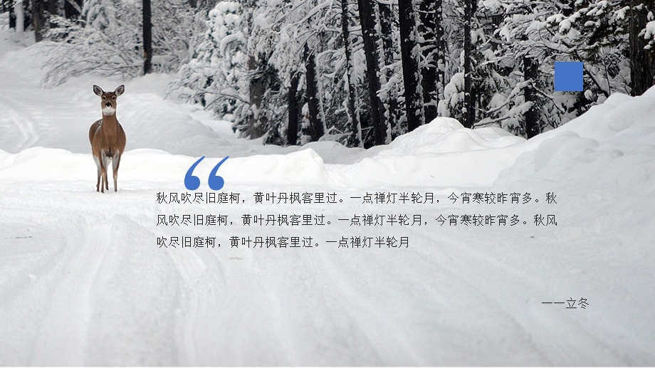 寒季冬季旅游观光旅行画册.pptx_第2页
