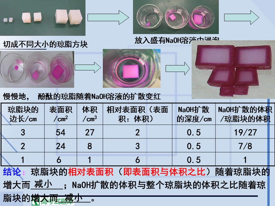 生物精华课件：细胞的增殖.ppt_第3页