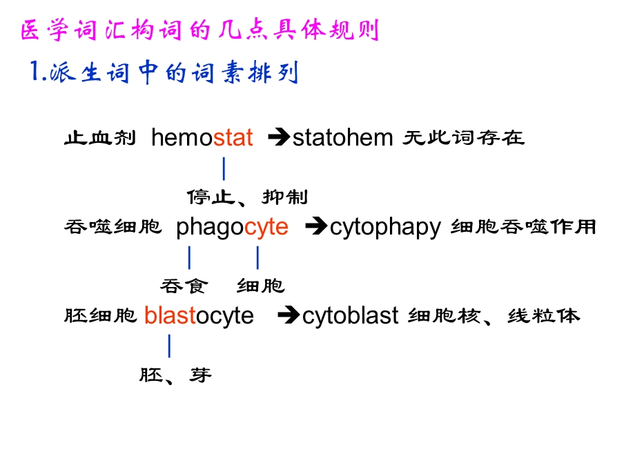 医学词汇的构词原则.ppt_第2页