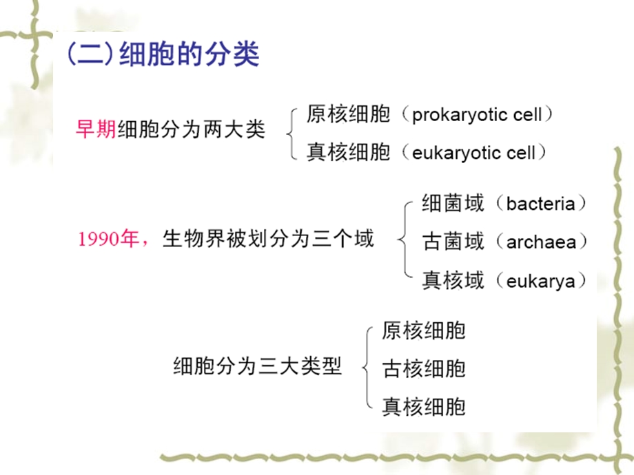 03第三章临床细胞的概念与分子基础.ppt_第3页