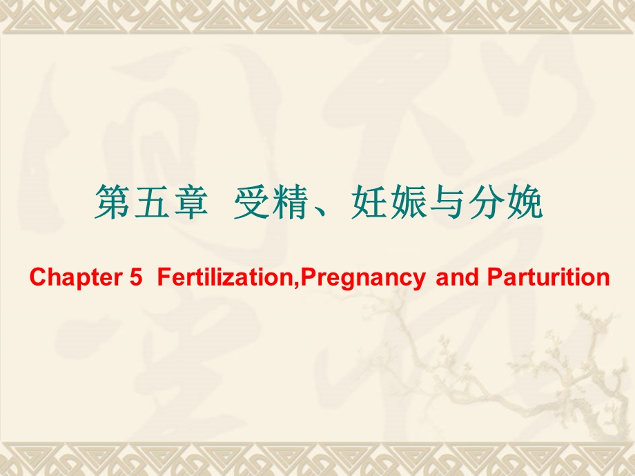 家畜繁殖学第五章受精、妊娠与分娩.ppt_第1页