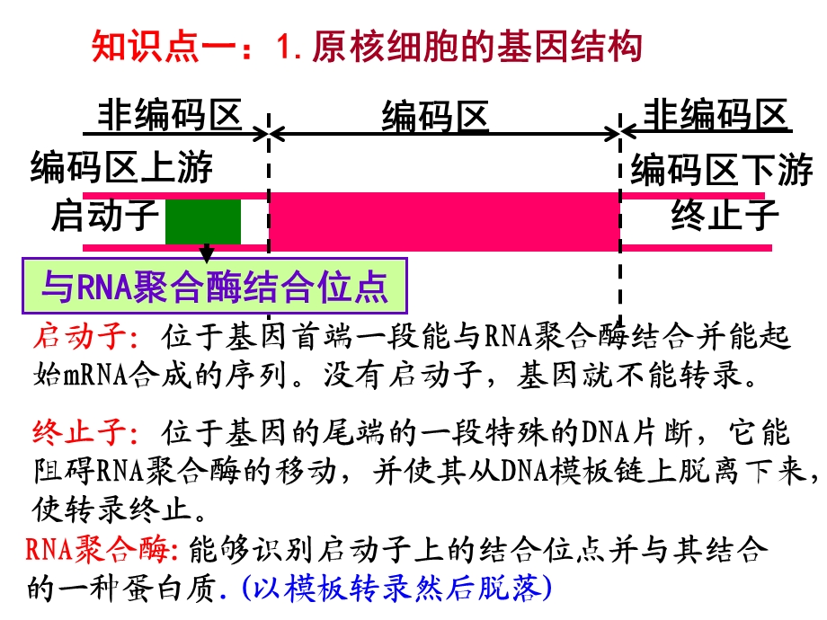 基因工程的基本操作程序一.ppt_第2页