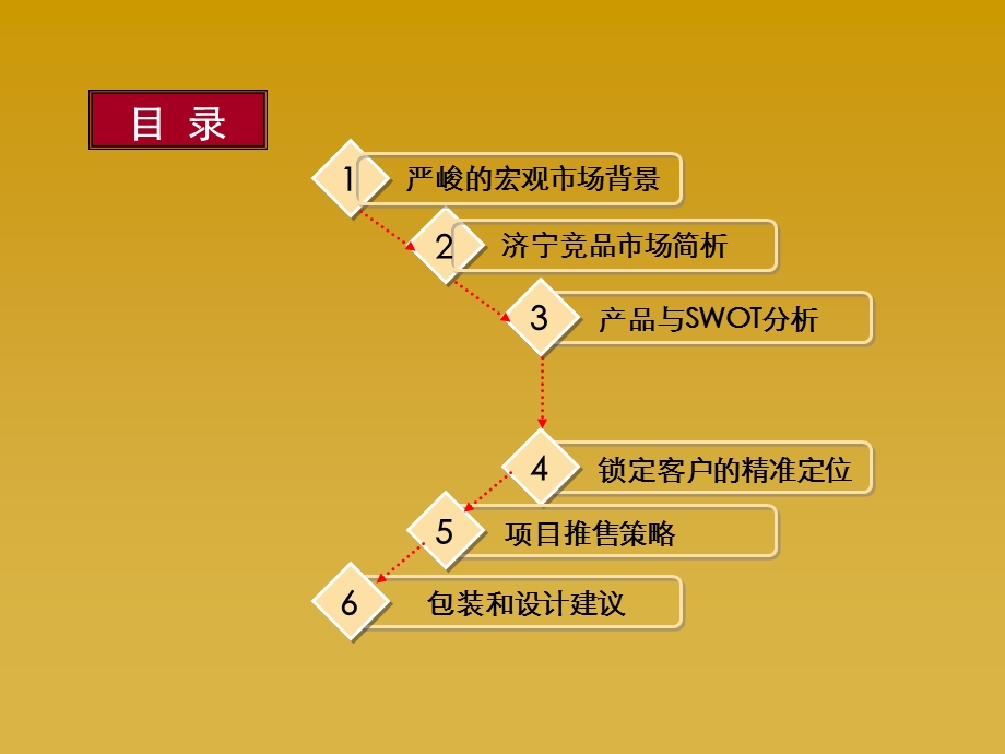 济宁市中心综合体盛泰广场推售提案.ppt_第2页