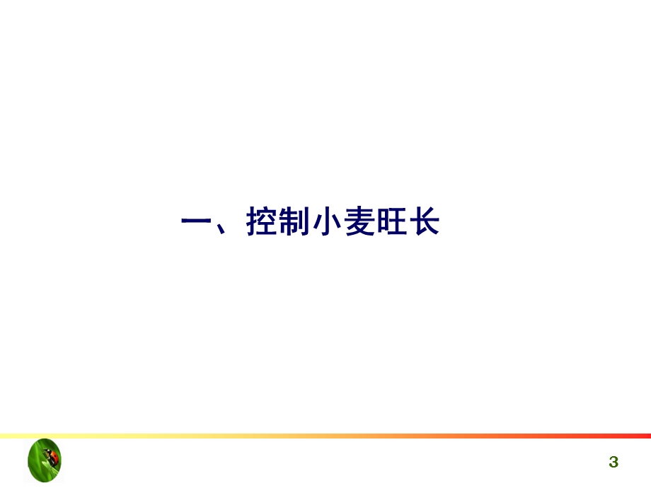 春季小麦高产栽培技术.ppt_第3页