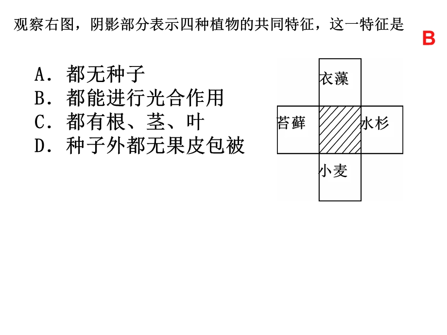 6.1.2从种到界.ppt_第1页