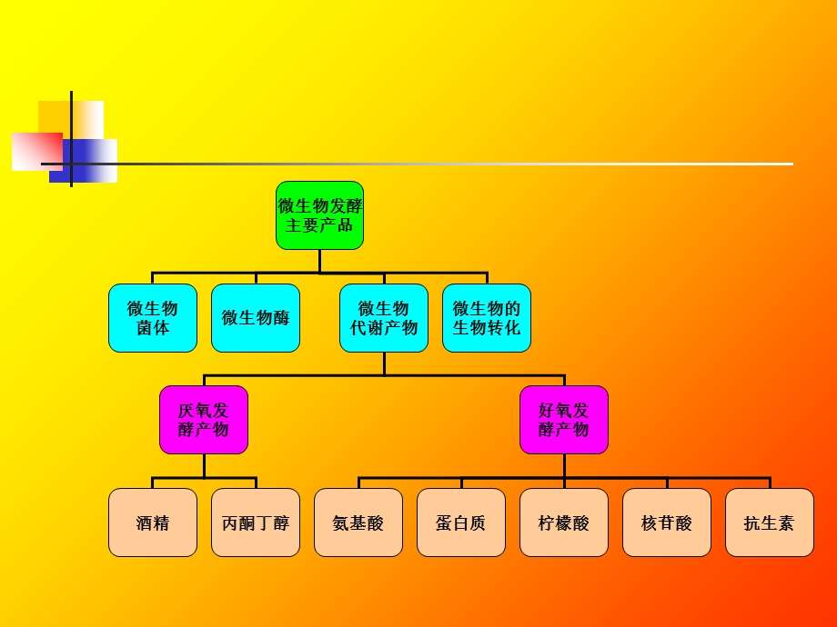 微生物发酵主要产.ppt_第2页