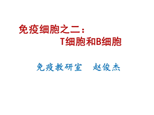 淋巴细胞和B淋巴细胞.ppt