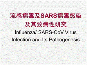 流感病毒与SARS病毒感染及其致病性研究专题讲座.ppt