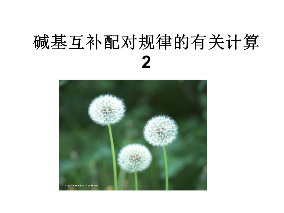 碱基互补配对的有关计算.ppt_第1页