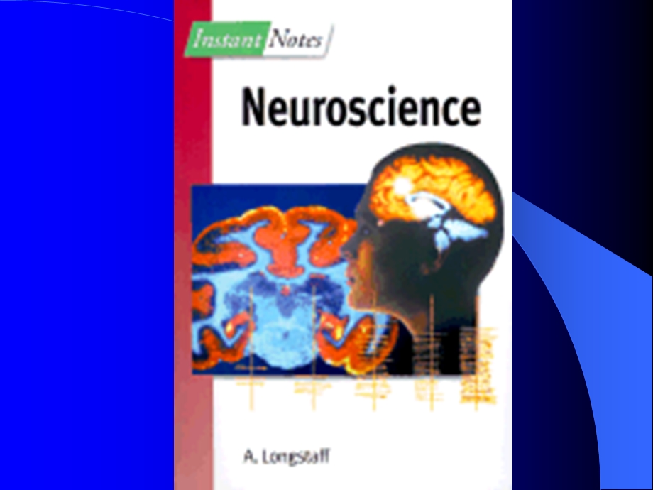 神经生物学课件.ppt_第2页