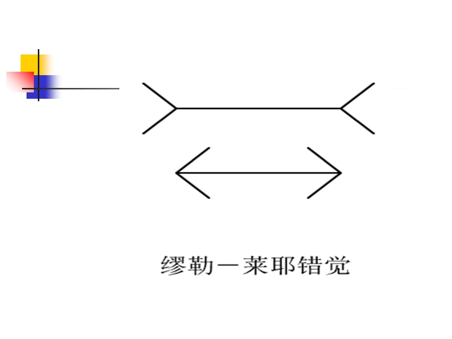 正式上课用12测量：实验探究的重要环节.ppt_第2页