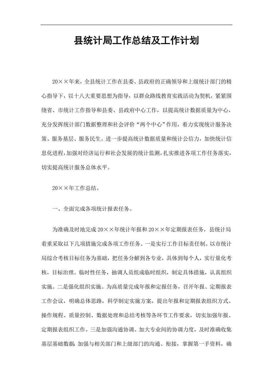 县统计局工作总结及工作计划精选.doc_第1页