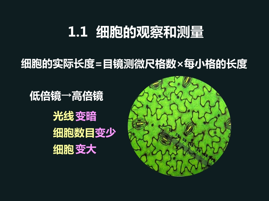 生命科学的基础实验.ppt_第1页