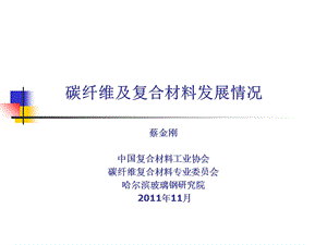 碳纤维及复合材料发展情况-蔡金刚.ppt