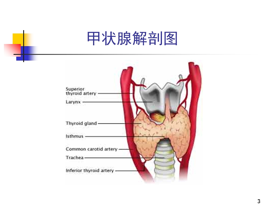 甲亢的特殊表现及处理ppt课件.ppt_第3页