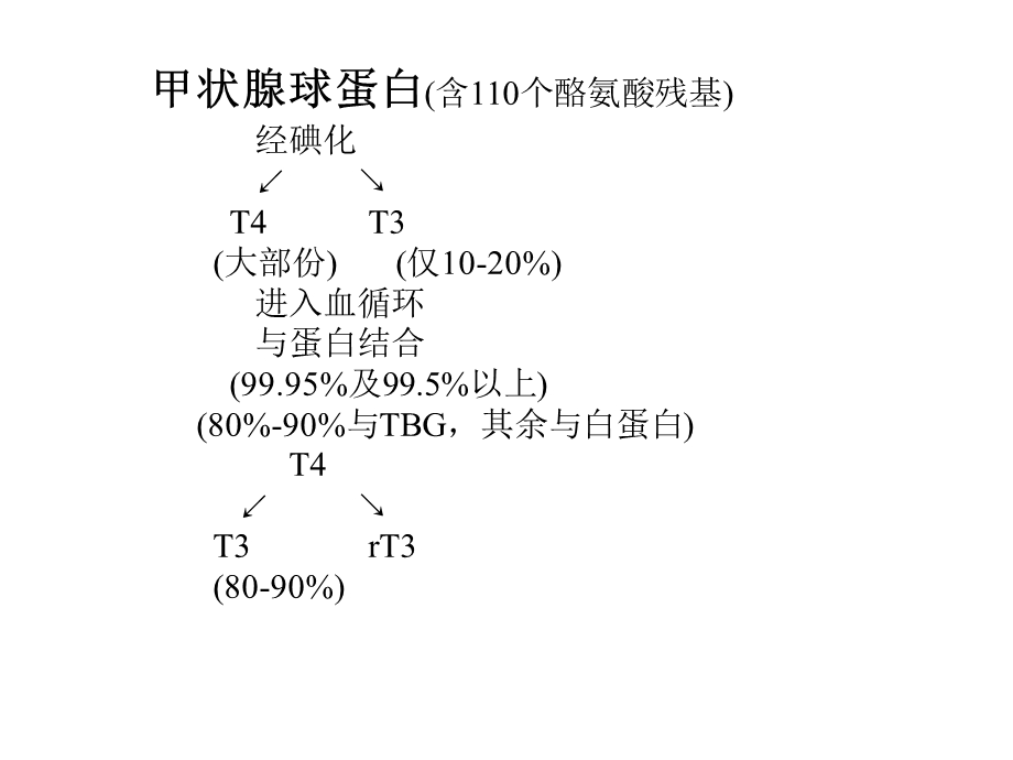 甲状腺功能亢进的诊治.ppt_第3页