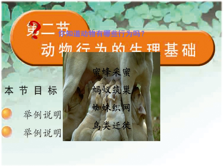 苏教版动物行为的生理基础.ppt_第2页