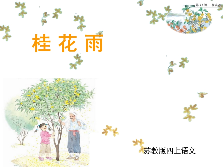 苏教版四上12《桂花雨》2015.ppt_第2页