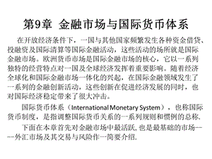 金融市场与国际货币体系.ppt
