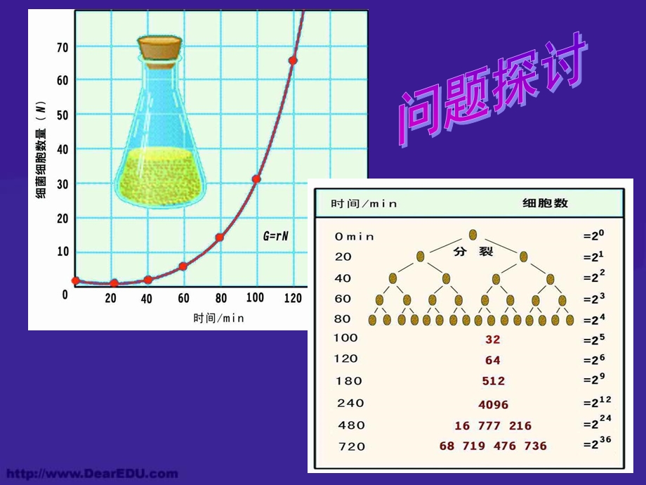 高二生物种群数量的变化课件.ppt_第2页