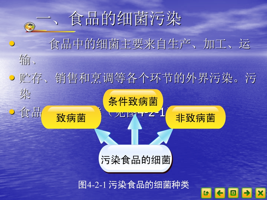 食品营养卫生42食品的生物性污染.ppt_第3页