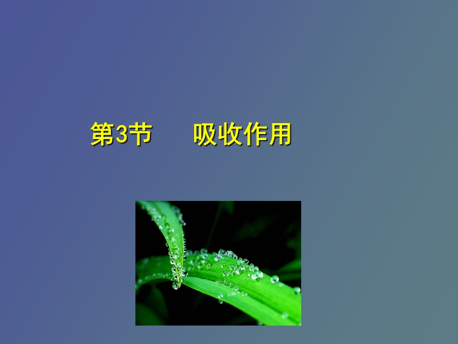 根的吸收作用.ppt_第1页