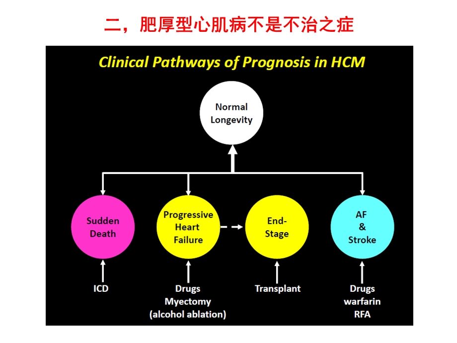 肥厚型心肌病现代诊断治疗展望教学.ppt_第3页