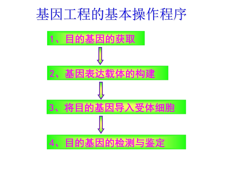 高二生物《基因工程的基本操作步骤》PPT课件.ppt_第3页