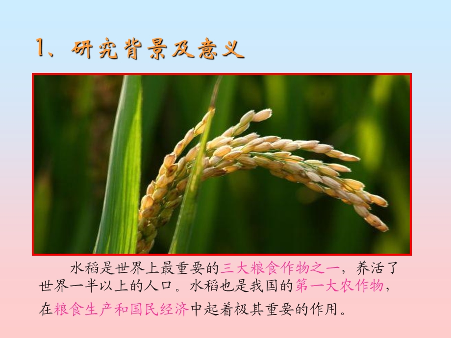 干旱胁迫对水稻类囊体膜蛋白质组的变化研究.ppt_第3页