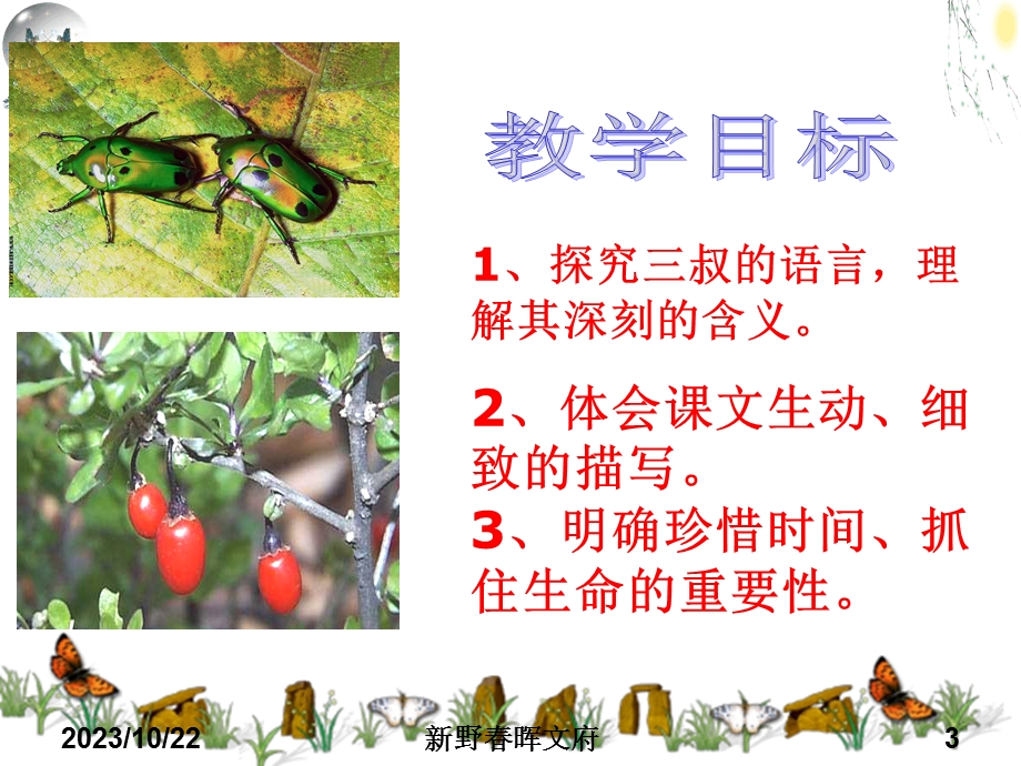 讲课稿颗枸杞豆.ppt_第3页