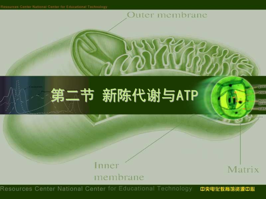 高二生物会考and自主招生高二生物新陈代谢与A.ppt_第3页